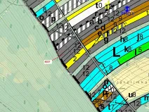 Dražba lesa, Pitín, 1282 m2