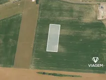 Prodej pole, Starý Mateřov, 10143 m2