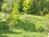 Prodej pozemku pro bydlení, Tanvald, 7310 m2