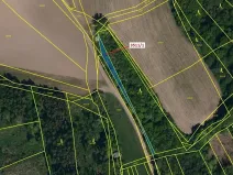 Dražba lesa, Bojkovice, 420 m2