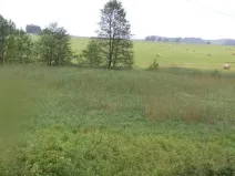 Dražba pozemku, Jablonné v Podještědí, 4685 m2