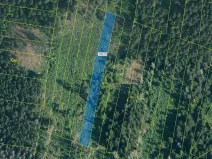 Dražba lesa, Prachatice, 2082 m2