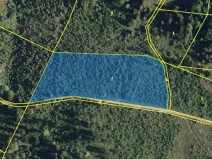 Prodej lesa, Krásná, 91919 m2