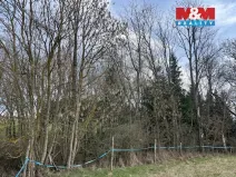 Prodej lesa, Košťálov - Kundratice, 11072 m2