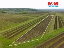 Prodej pole, Velké Bílovice, 3600 m2