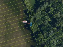 Dražba lesa, Přísnotice, 60 m2