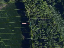 Dražba lesa, Přísnotice, 31 m2