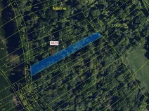 Dražba lesa, Přísnotice, 1778 m2