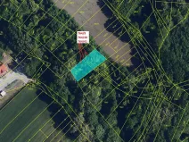 Dražba lesa, Přísnotice, 702 m2