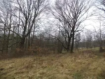 Dražba pozemku, Česká Kamenice, 5161 m2