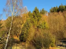 Prodej lesa, Huslenky, 1784 m2