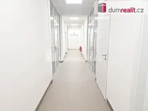 Pronájem ordinace, Most, J. A. Komenského, 40 m2