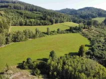 Prodej pole, Chlistov, 4212 m2