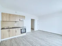 Pronájem bytu 1+kk, Plzeň, Rejskova, 38 m2