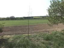 Prodej pole, Kochánky, 9970 m2