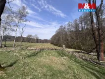 Prodej louky, Cvikov - Trávník, 545 m2