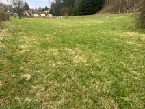 Prodej pozemku pro bydlení, Horní Olešnice, 2510 m2