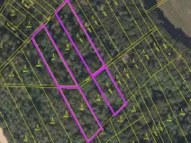 Prodej lesa, Držovice, 4332 m2