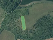 Prodej louky, Děčany, 2924 m2