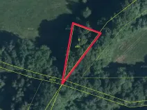 Prodej lesa, Stružnice, 590 m2