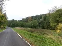 Prodej lesa, Tuchořice, 13223 m2