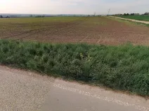 Prodej pole, Dobrovice, 4752 m2