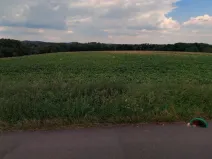 Prodej pole, Mšeno, 9988 m2