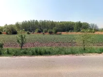 Prodej lesa, Lysá nad Labem, 8812 m2