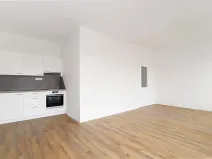 Pronájem bytu 1+kk, Brandýs nad Labem-Stará Boleslav, Ivana Olbrachta, 34 m2