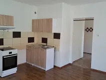 Pronájem bytu 1+1, Teplice, Československých legií, 52 m2
