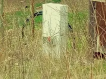 Prodej zahrady, Domažlice, 647 m2