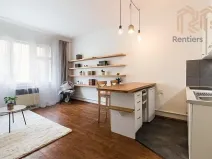 Pronájem bytu 1+kk, Praha - Žižkov, Radhošťská, 30 m2