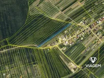 Prodej pole, Mistřice, 2445 m2