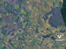 Prodej lesa, Bošovice, 3277 m2