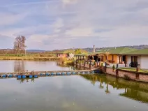 Prodej ubytování, Hrdějovice, 544 m2