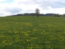 Prodej pozemku, Staré Město - Nová Véska, 10063 m2