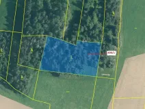 Dražba lesa, Bílsko, 3965 m2