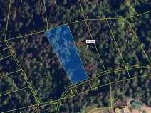 Dražba lesa, Návsí, 3528 m2