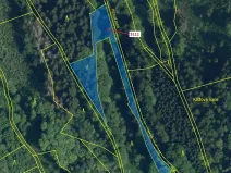 Dražba lesa, Benešov u Semil, 2958 m2