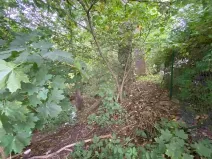 Dražba pozemku, Helvíkovice, 1994 m2