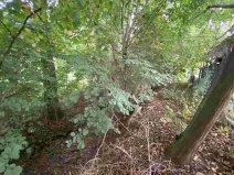 Dražba pozemku, Helvíkovice, 1994 m2