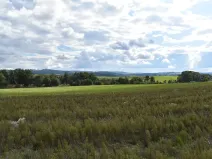 Prodej pozemku pro bydlení, Benešov, 1348 m2