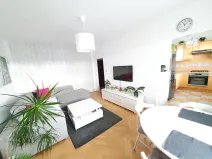 Pronájem bytu 2+1, Praha - Záběhlice, Sasanková, 52 m2
