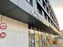 Pronájem garáže, Praha - Žižkov, Olšanská, 13 m2