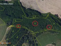 Prodej lesa, Štoky, 6941 m2