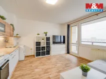 Pronájem bytu 1+kk, Plzeň - Severní Předměstí, Sokolovská, 27 m2