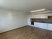 Pronájem bytu 3+kk, České Budějovice, Fr. Škroupa, 69 m2
