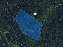 Dražba lesa, Lhota Rapotina, 4308 m2