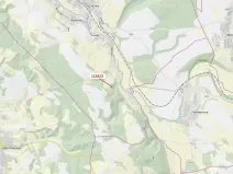 Dražba lesa, Letohrad, 3699 m2