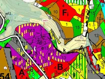 Dražba lesa, Žižkovo Pole, 5060 m2